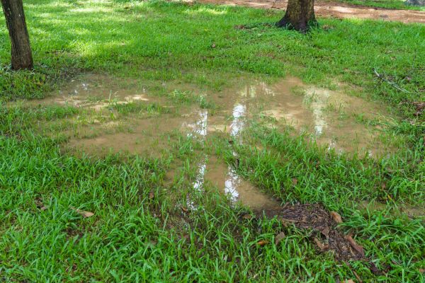 Storm Water Drainage Service in Brick