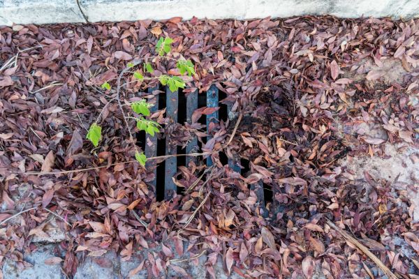 Yard Drain Unclogging in Brick