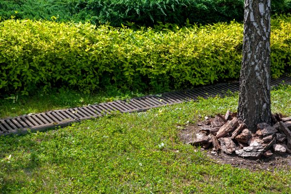 Residential Landscape Drainage in Brick