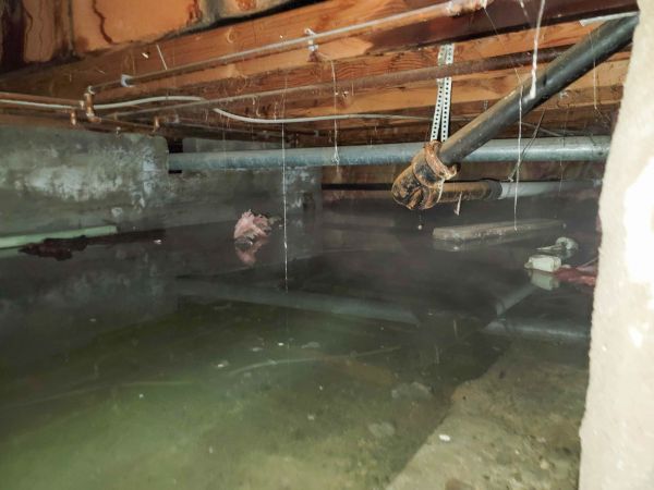 Cost of Crawlspace Drainage in Brick