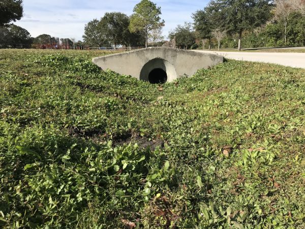 Cost of Swale Drainage Service in Brick